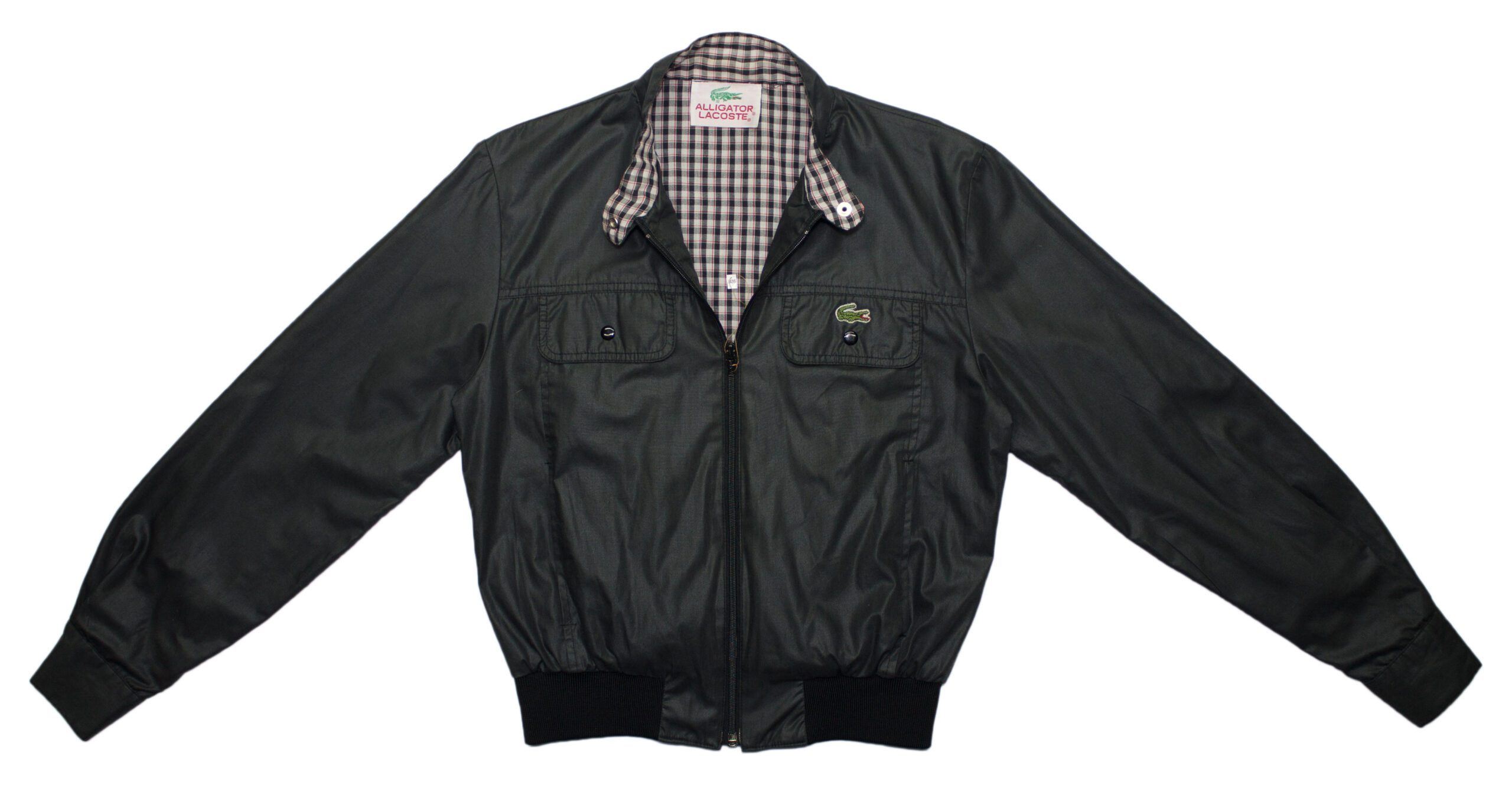 Pet Breed: Chaqueta Lacoste. T-XS
